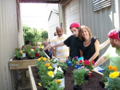 Flower-Boxes-Photo